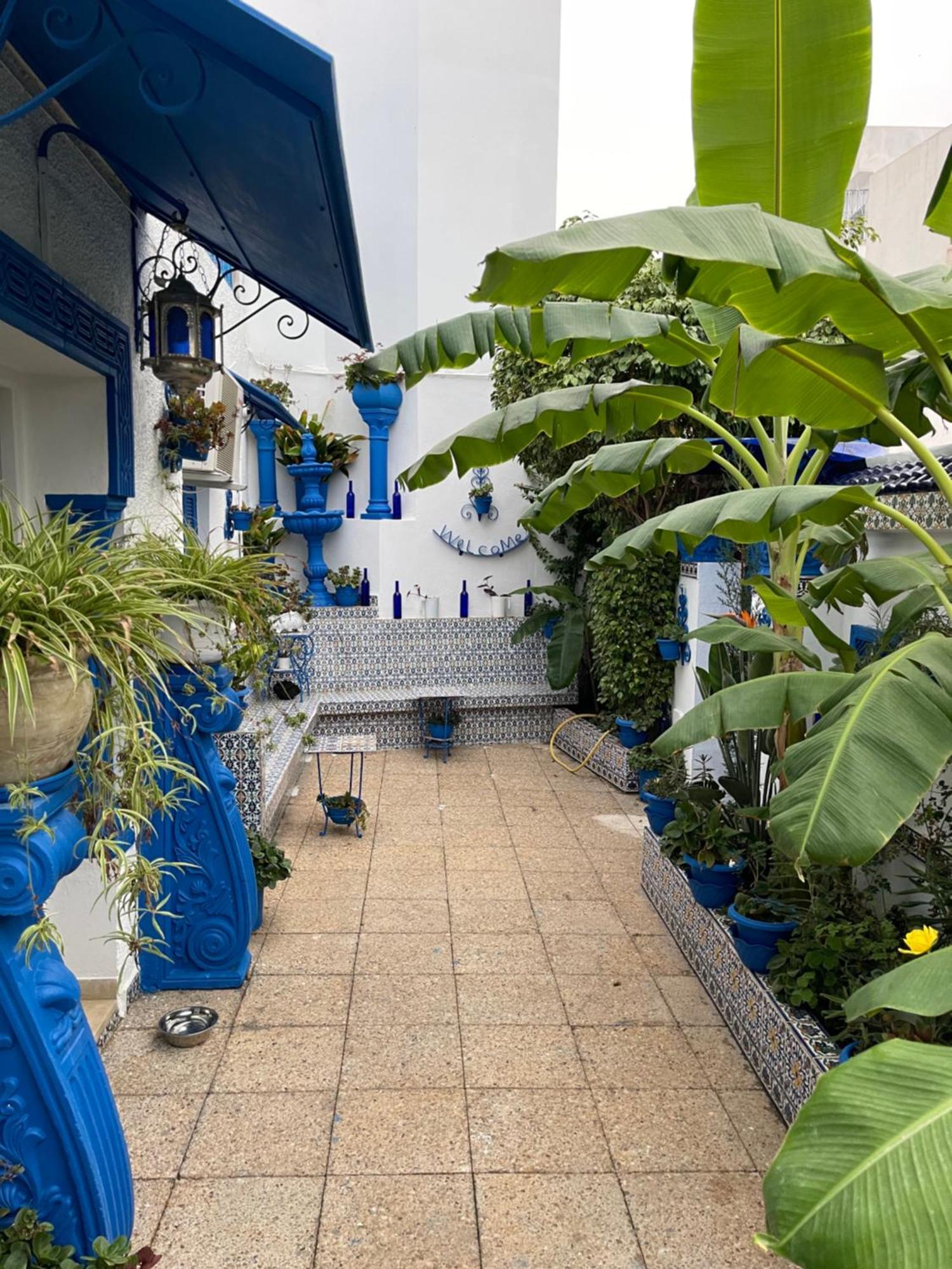 The Blue And White Perle Villa ซิดิโบซาอิด ภายนอก รูปภาพ