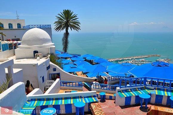 The Blue And White Perle Villa ซิดิโบซาอิด ภายนอก รูปภาพ