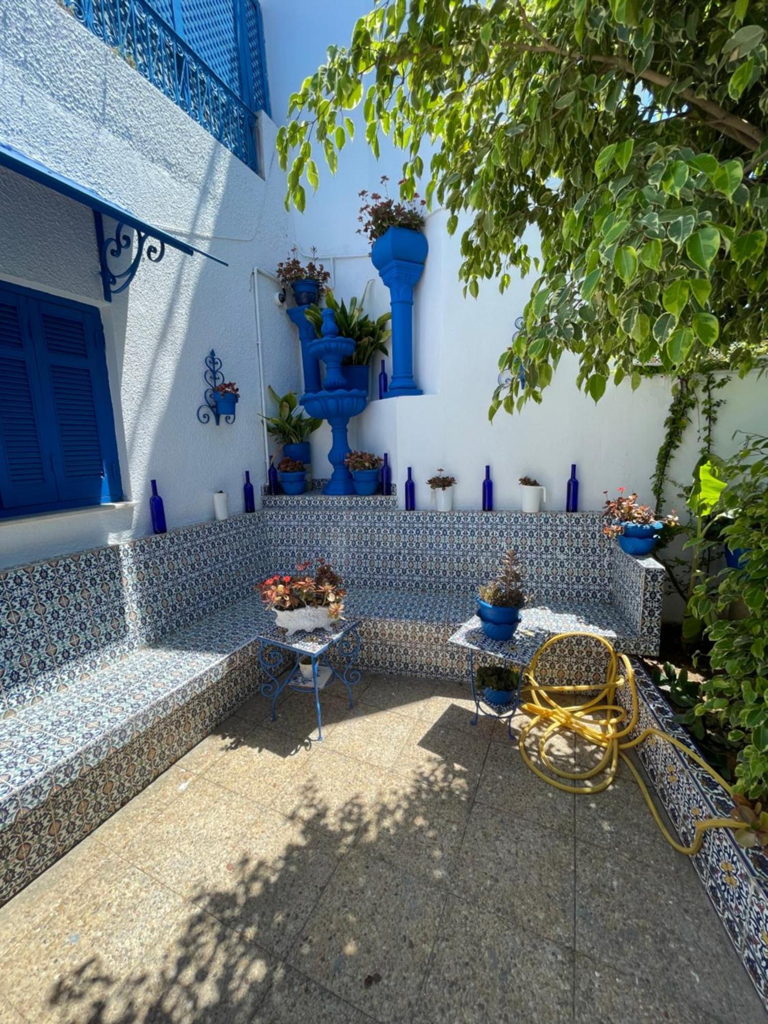 The Blue And White Perle Villa ซิดิโบซาอิด ภายนอก รูปภาพ